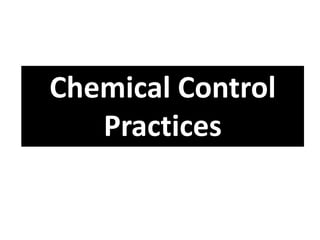 Chemical Control
Practices
 