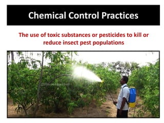 Chemical Control Practices
The use of toxic substances or pesticides to kill or
reduce insect pest populations
 