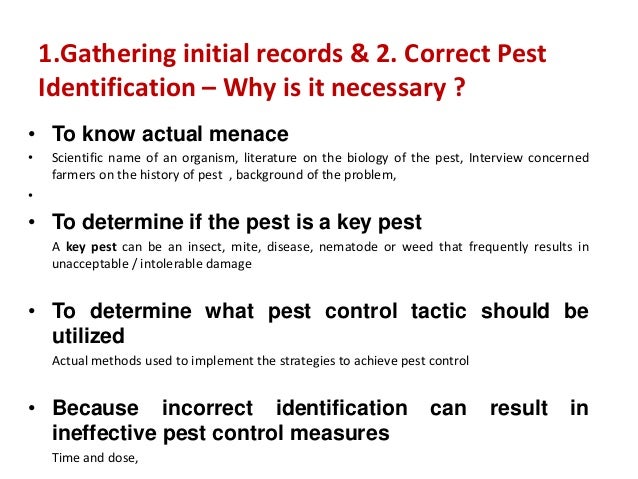 insect identification key
