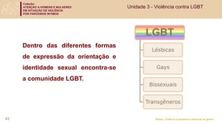 Coleção:
ATENÇÃO A HOMENS E MULHERES
EM SITUAÇÃO DE VIOLÊNCIA
POR PARCEIROS ÍNTIMOS
Módulo: Violência e perspectiva relacional de gênero
Dentro das diferentes formas
de expressão da orientação e
identidade sexual encontra-se
a comunidade LGBT.
LGBT
Lésbicas
Gays
Bissexuais
Transgêneros
43
Unidade 3 - Violência contra LGBT
 