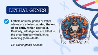 Lethality Genetics Genetics/ inheritance/ mendelian genetics/ non- mendelian genetics | PPTX