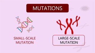 Small Mutations mutations and evolutions- charles darwin | PPTX