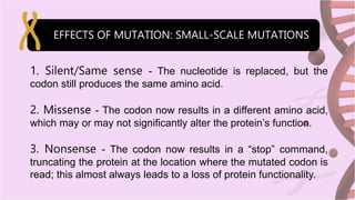 Same Sense Mutation Example mutations and evolutions- charles darwin | PPTX