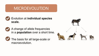 (GEN BIO)EVOLUTION, TAXONOMY AND ECOSYSTEM | PPTX