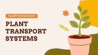 PLANT PHYSIOLOGY
PLANT
TRANSPORT
SYSTEMS
 