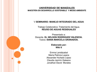 UNIVERSIDAD DE MANIZALES
MAESTRÍA EN DESARROLLO SOSTENIBLE Y MEDIO AMBIENTE




     V SEMINARIO: MANEJO INTEGRADO DEL AGU...