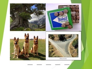 _____ _____ _____ _____ _____
 