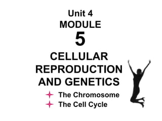 Unit 4
MODULE
5
CELLULAR
REPRODUCTION
AND GENETICS
The Chromosome
The Cell Cycle
 