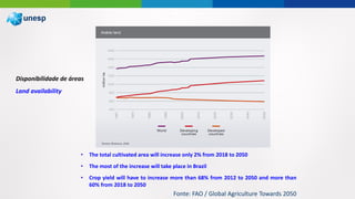 Disponibilidade de áreas
Land availability
Fonte: FAO / Global Agriculture Towards 2050
• The total cultivated area will increase only 2% from 2018 to 2050
• The most of the increase will take place in Brazil
• Crop yield will have to increase more than 68% from 2012 to 2050 and more than
60% from 2018 to 2050
 