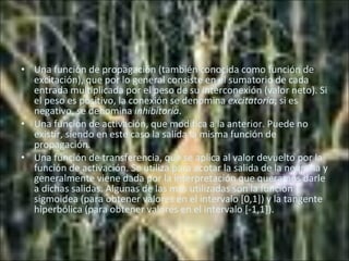 Una función de propagación (también conocida como función de excitación), que por lo general consiste en el sumatorio de cada entrada multiplicada por el peso de su interconexión (valor neto). Si el peso es positivo, la conexión se denomina  excitatoria ; si es negativo, se denomina  inhibitoria .  Una función de activación, que modifica a la anterior. Puede no existir, siendo en este caso la salida la misma función de propagación.  Una función de transferencia, que se aplica al valor devuelto por la función de activación. Se utiliza para acotar la salida de la neurona y generalmente viene dada por la interpretación que queramos darle a dichas salidas. Algunas de las más utilizadas son la función sigmoidea (para obtener valores en el intervalo [0,1]) y la tangente hiperbólica (para obtener valores en el intervalo [-1,1]).  