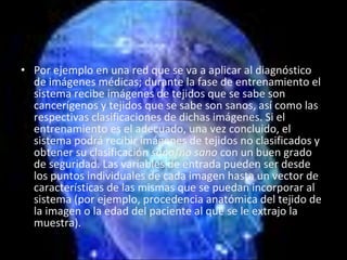 Por ejemplo en una red que se va a aplicar al diagnóstico de imágenes médicas; durante la fase de entrenamiento el sistema recibe imágenes de tejidos que se sabe son cancerígenos y tejidos que se sabe son sanos, así como las respectivas clasificaciones de dichas imágenes. Si el entrenamiento es el adecuado, una vez concluido, el sistema podrá recibir imágenes de tejidos no clasificados y obtener su clasificación  sano / no sano  con un buen grado de seguridad. Las variables de entrada pueden ser desde los puntos individuales de cada imagen hasta un vector de características de las mismas que se puedan incorporar al sistema (por ejemplo, procedencia anatómica del tejido de la imagen o la edad del paciente al que se le extrajo la muestra). 