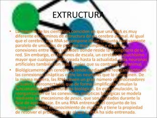 EXTRUCTURA La mayoría de los científicos coinciden en que una RNA es muy diferente en términos de estructura de un cerebro animal. Al igual que el cerebro, una RNA se compone de un conjunto masivamente paralelo de unidades de proceso muy simples y es en las conexiones entre estas unidades donde reside la inteligencia de la red. Sin embargo, en términos de escala, un cerebro es muchísimo mayor que cualquier RNA creada hasta la actualidad, y las neuronas artificiales también son más simples que su contrapartida animal. Biológicamente, un cerebro aprende mediante la reorganización de las conexiones sinápticas entre las neuronas que lo componen. De la misma manera, las RNA tienen un gran número de  procesadores  virtuales interconectados que de forma simplificada simulan la funcionalidad de las neuronas biológicas. En esta simulación, la reorganización de las conexiones sinápticas biológicas se modela mediante un mecanismo de  pesos , que son ajustados durante la fase de aprendizaje. En una RNA entrenada, el conjunto de los pesos determina el  conocimiento  de esa RNA y tiene la propiedad de resolver el problema para el que la RNA ha sido entrenada. 