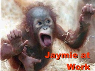 Jaymie at Work 