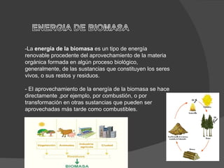 -La  energía de la biomasa  es un tipo de energía renovable procedente del aprovechamiento de la materia orgánica formada en algún proceso biológico, generalmente, de las sustancias que constituyen los seres vivos, o sus restos y residuos.  - El aprovechamiento de la energía de la biomasa se hace directamente ,por ejemplo, por combustión, o por transformación en otras sustancias que pueden ser aprovechadas más tarde como combustibles. 