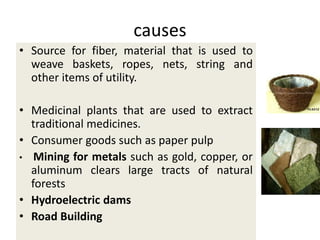 causes
• Source for fiber, material that is used to
weave baskets, ropes, nets, string and
other items of utility.
• Medicinal plants that are used to extract
traditional medicines.
• Consumer goods such as paper pulp
• Mining for metals such as gold, copper, or
aluminum clears large tracts of natural
forests
• Hydroelectric dams
• Road Building
 