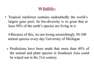 • Tropical rainforest contains undoubtedly the world’s
largest gene pool. Its bio-diversity is so great that at
least 50% of the earth’s species are living in it.
Wildlife:
 Predictions have been made that more than 40% of
the animal and plant species in Southeast Asia could
be wiped out in the 21st century
Because of this, we are losing astonishingly 50-100
animal species every day University of Michigan
 