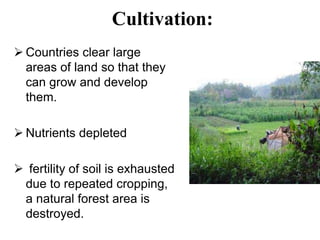 Cultivation:
 Countries clear large
areas of land so that they
can grow and develop
them.
 Nutrients depleted
 fertility of soil is exhausted
due to repeated cropping,
a natural forest area is
destroyed.
 