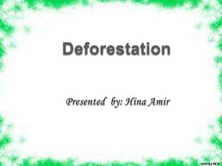 Deforestation
 