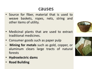 causes
• Source for fiber, material that is used to
  weave baskets, ropes, nets, string and
  other items of utility.

• Medicinal plants that are used to extract
  traditional medicines.
• Consumer goods such as paper pulp
• Mining for metals such as gold, copper, or
  aluminum clears large tracts of natural
  forests
• Hydroelectric dams
• Road Building
 