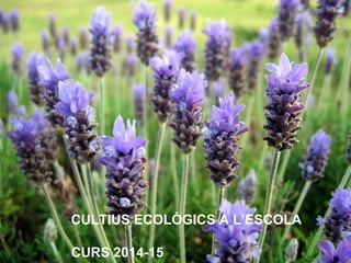 CULTIUS ECOLÒGICS A L’ESCOLA 
CURS 2014-15 
 
