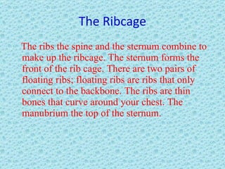 The Ribcage The ribs the spine and the sternum combine to make up the ribcage. The sternum forms the front of the rib cage. There are two pairs of floating ribs; floating ribs are ribs that only connect to the backbone. The ribs are thin bones that curve around your chest. The manubrium the top of the sternum. 