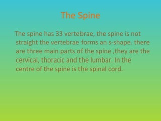 The Spine The spine has 33 vertebrae, the spine is not straight the vertebrae forms an s-shape. there are three main parts of the spine ,they are the cervical, thoracic and the lumbar. In the centre of the spine is the spinal cord. 