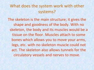 What does the system work with other systems? The skeleton is the main structure; it gives the shape and goodness of the body. With no skeleton, the body and its muscles would be a tissue on the floor. Muscles attach to some bones which allows you to move your arms, legs, etc. with no skeleton muscle could not act. The skeleton also allows tunnels for the circulatory vessels and nerves to move.   