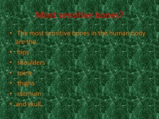 Most sensitive bones?   The most sensitive bones in the human body are the. hips shoulders spine thighs sternum and skull.  