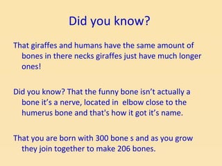 Did you know?  That giraffes and humans have the same amount of bones in there necks giraffes just have much longer ones! Did you know? That the funny bone isn’t actually a bone it’s a nerve, located in  elbow close to the humerus bone and that's how it got it’s name. That you are born with 300 bone s and as you grow they join together to make 206 bones.  