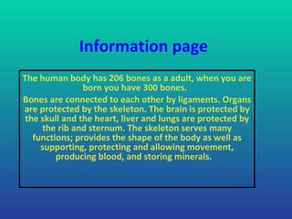 Information page The human body has 206 bones as a adult, when you are born you have 300 bones.  Bones are connected to each other by ligaments. Organs are protected by the skeleton. The brain is protected by the skull and the heart, liver and lungs are protected by the rib and sternum. The skeleton serves many functions; provides the shape of the body as well as supporting, protecting and allowing movement, producing blood, and storing minerals.   