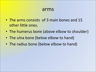 The arms consists  of 3 main bones and 15 other little ones. The humerus bone (above elbow to shoulder) The ulna bone (below elbow to hand) The radius bone (below elbow to hand) arms 