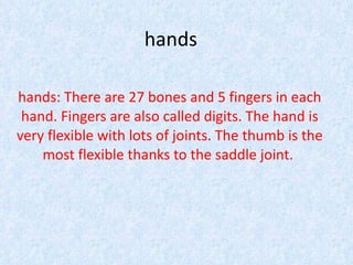 hands: There are 27 bones and 5 fingers in each hand. Fingers are also called digits. The hand is very flexible with lots of joints. The thumb is the most flexible thanks to the saddle joint.  hands 