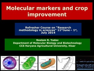 Molecular Markers and Their Role in Crop Improvement Techniques | PPT
