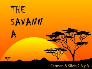 THE
SAVANN
A
Carmen & Silvia 2 A y B
 