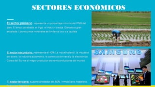 SECTORES ECONÓMICOS
 