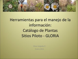 Herramientas para el manejo de la información: Catálogo de Plantas Sitios Piloto - GLORIA Silvia Salgado P. Enero 2011 