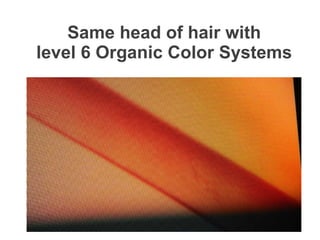 Hair Color - Professional Organic Hair Color