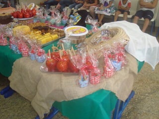 Ana Rocha Lyra_Ludicidade