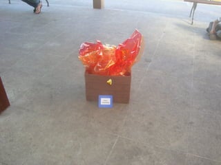 Ana Rocha Lyra_Ludicidade