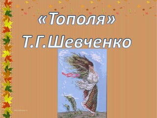 Ppt0000114