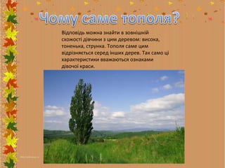 Відповідь можна знайти в зовнішній
схожості дівчини з цим деревом: висока,
тоненька, струнка. Тополя саме цим
відрізняється серед інших дерев. Так само ці
характеристики вважаються ознаками
дівочої краси.

 