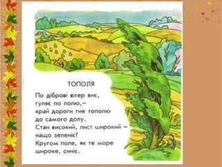Ppt0000114