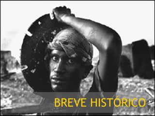 BREVE HISTÓRICO 