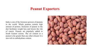 Peanut Exporters
India is one of the foremost growers of peanuts
in the world. Whole peanuts contain high
amount of protein. Inclusion of peanut in the
diet facilitates weight loss and lowers the risk
of cancer. Peanuts are popularly added to
South Eastern cuisine. The oil content in a
peanut is far greater than any other oilseed. It is
also rich in carbohydrate content.
 