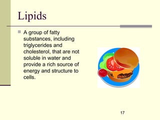 17
Lipids
 A group of fatty
substances, including
triglycerides and
cholesterol, that are not
soluble in water and
provide a rich source of
energy and structure to
cells.
 