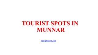 TOURIST SPOTS IN
MUNNAR
bigwigtourism.com
 