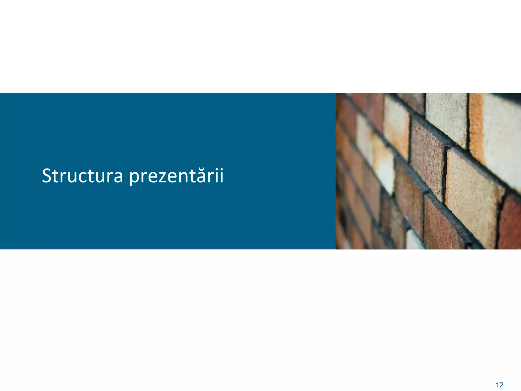 Structura prezentării




                        12
 