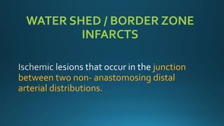 WATER SHED / BORDER ZONE
INFARCTS
junction
between two non- anastomosing distal
arterial distributions.
 