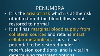 • It is the area at risk which is at the risk
of infarction if the blood flow is not
restored to normal
• It still has marginal blood supply from
collateral sources and retains intact
cellular metabolism. Thus , it has
potential to be restored under
reperfusion conditions and is vital in
 
