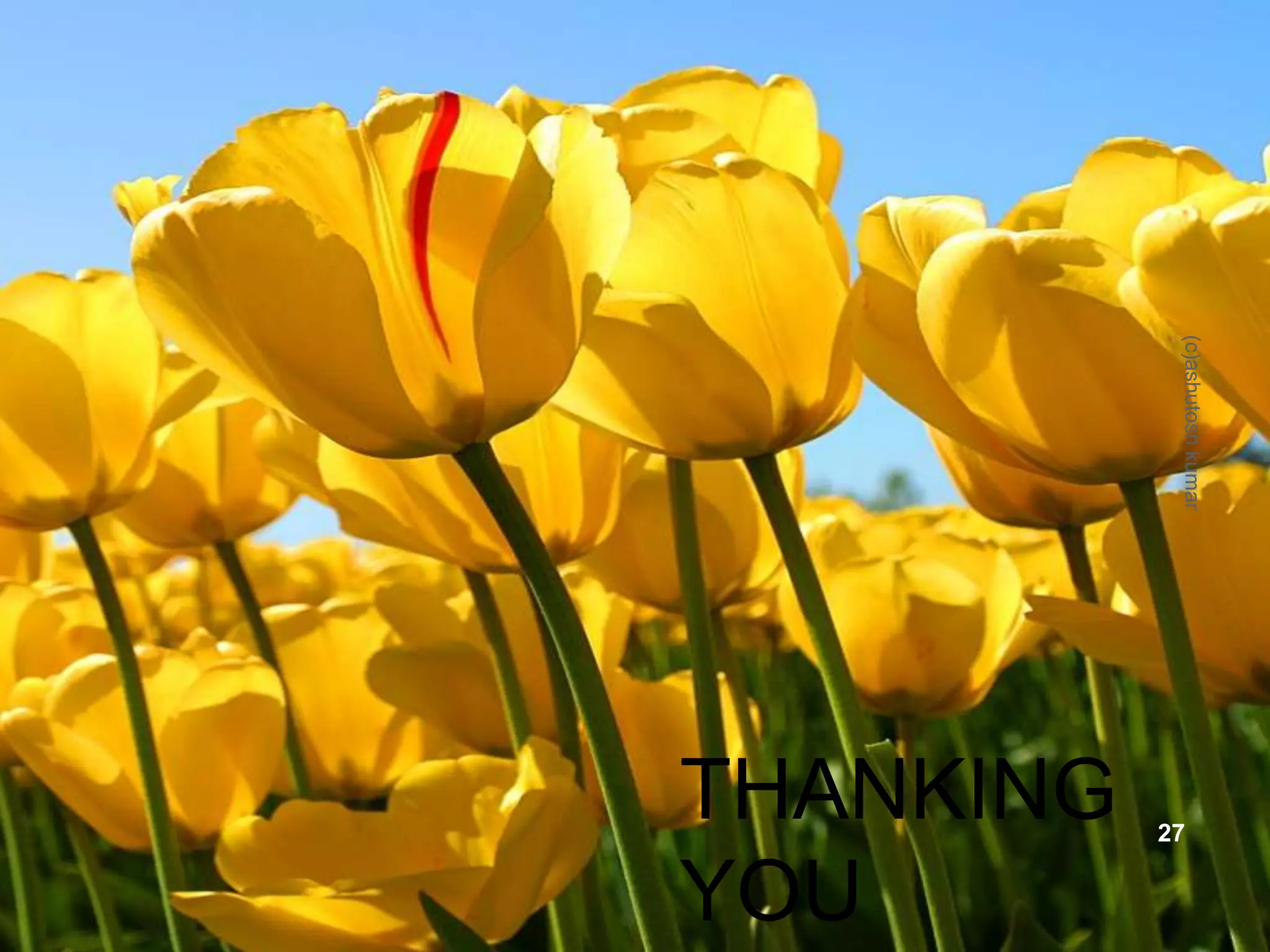 THANKING 
YOU 
THANKING 
YOU 
(c)ashutosh kumar 
27 

